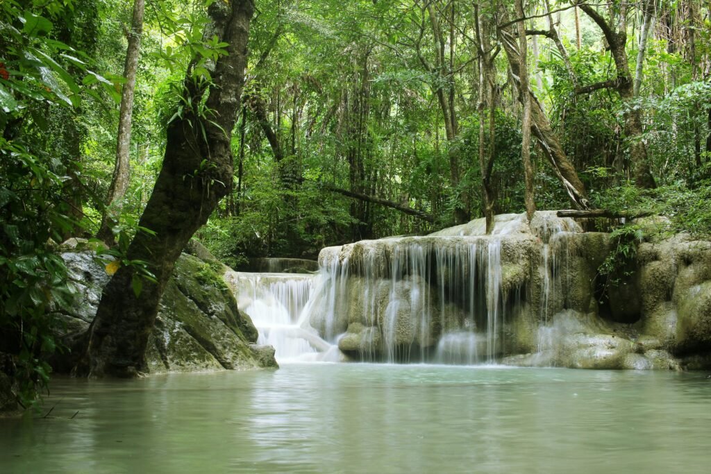 Beautiful waterfall surrounded by lush jungle greenery with serene plunge pool.