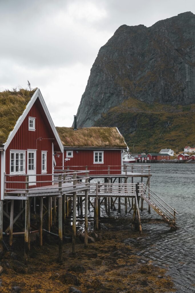 Charming red stilt houses with grass roofs in Reine, Lofoten, Norway, surrounded by rocky fjords.