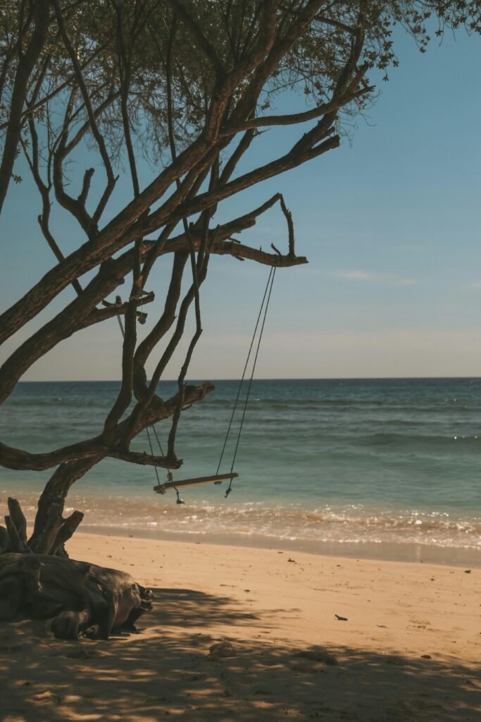 Peaceful beach scene with a swing hanging from a tree overlooking the ocean in Lombok, Indonesia.
