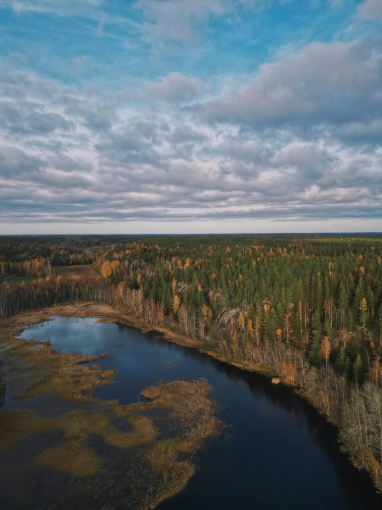 Stunning aerial view of Nuuksio National Park showcasing autumn colors and a serene lake.