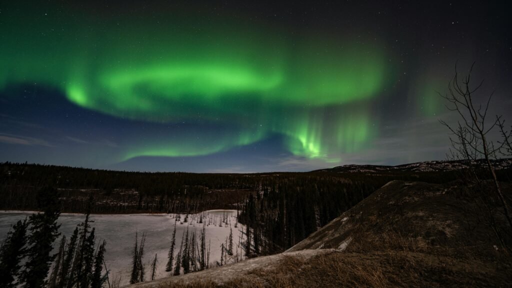 Capture the mesmerizing aurora borealis glowing brightly over Whitehorse, Yukon, Canada at night.