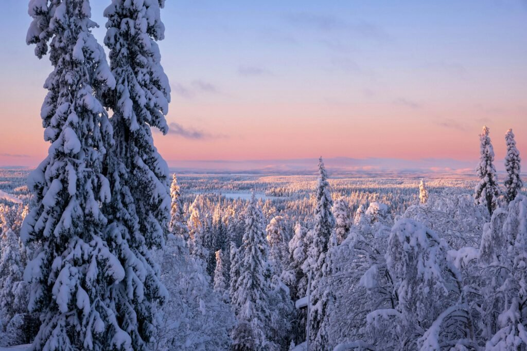 Stunning winter landscape of snowy forest at sunset in Ruka, Pohjois-Pohjanmaa, Finland.