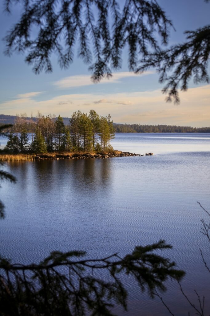 Tranquil lake surrounded by trees and distant mountains on a sunny day.