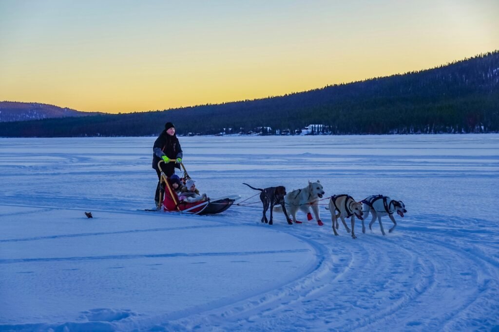 A person dog sledding through a frozen landscape during sunset with a team of huskies.