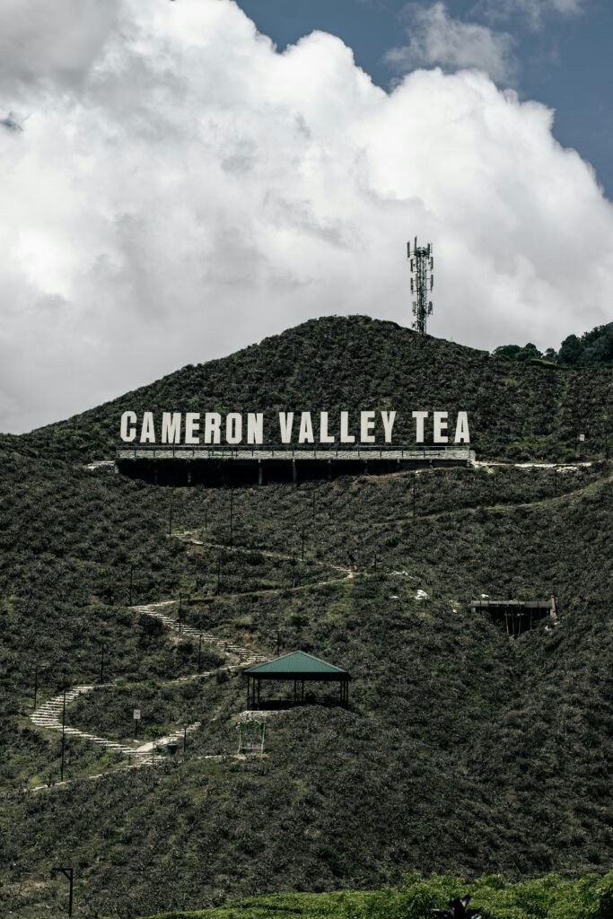Scenic view of Cameron Valley Tea Plantation with hillside sign in Malaysia.