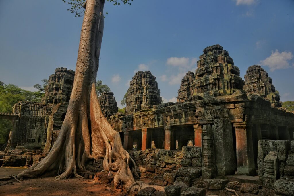 A majestic strangler fig tree intertwines with ancient temple ruins under a vibrant blue sky.