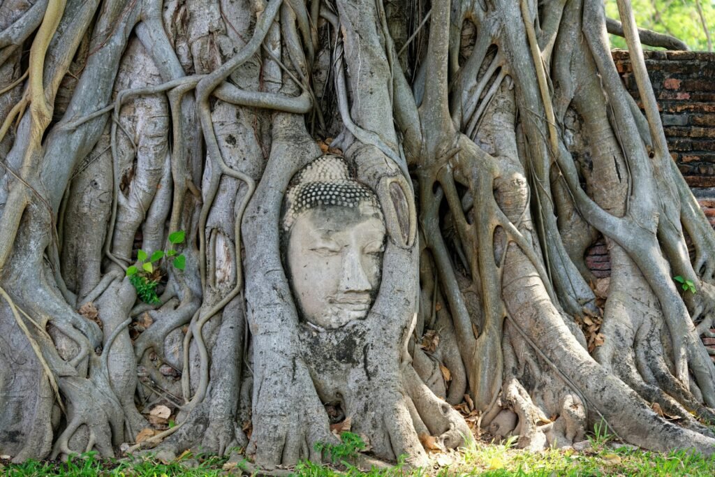 Iconic Buddha head embedded in tree roots at Wat Mahathat, Ayutthaya, Thailand.