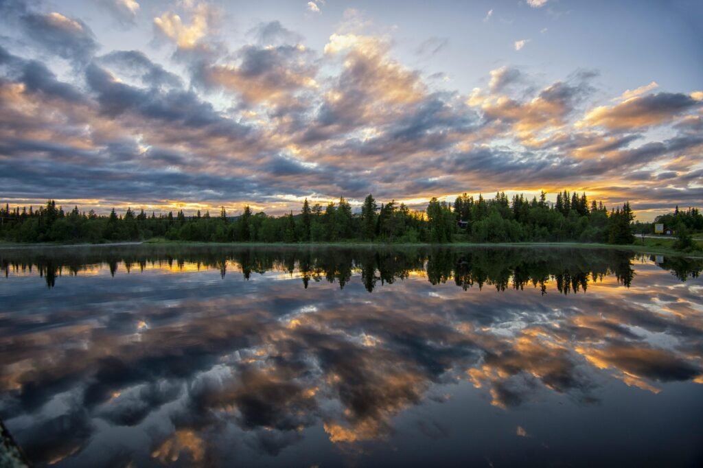 Picturesque view of greenery trees under colorful cloudy sky reflecting in pure river water at sundown
