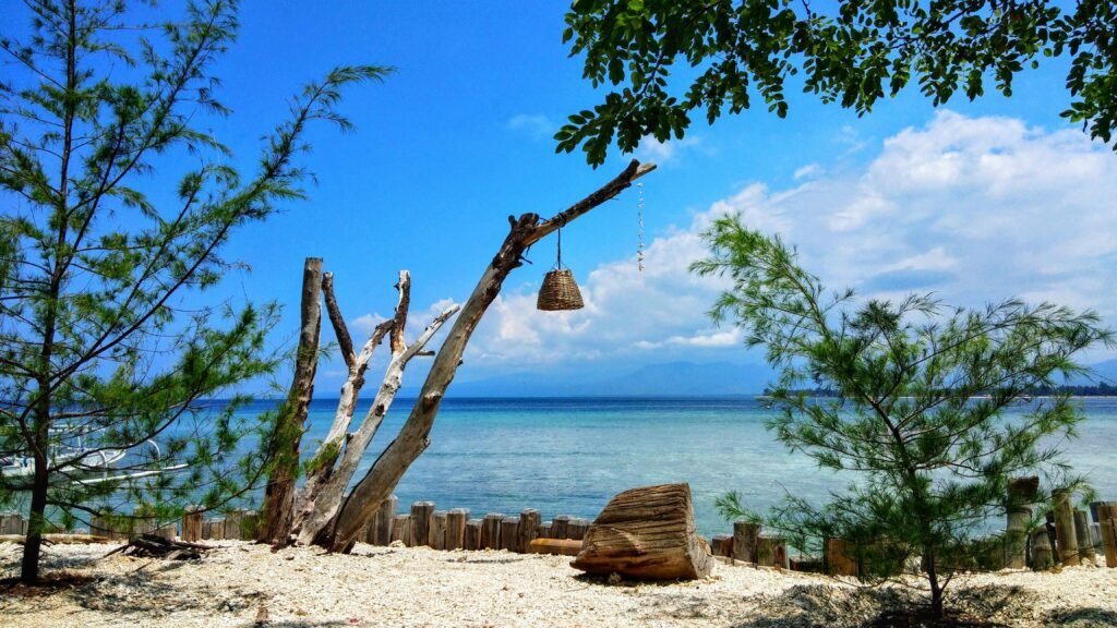 Serene beach setting in Pemenang, Indonesia with hanging basket, driftwood, and clear blue sea.