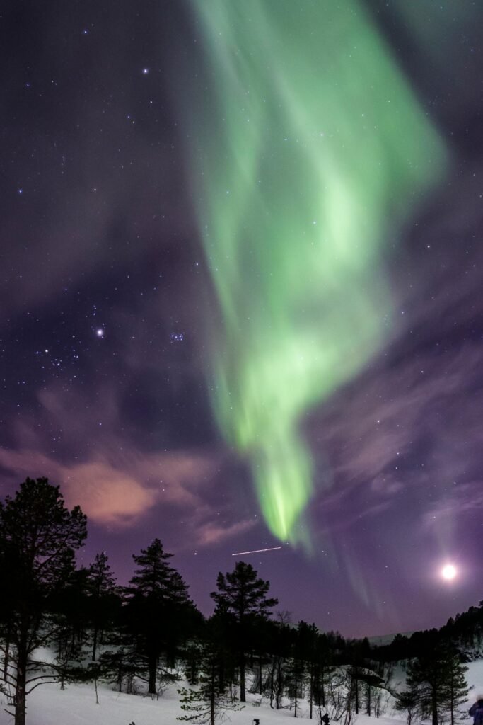 A breathtaking view of the green aurora borealis over Oslo's snow-laden landscape, capturing the majestic night sky.