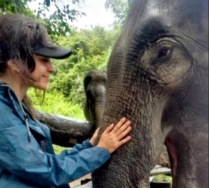 Davanti a un elefante