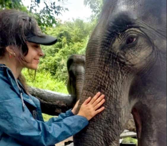 Davanti a un elefante
