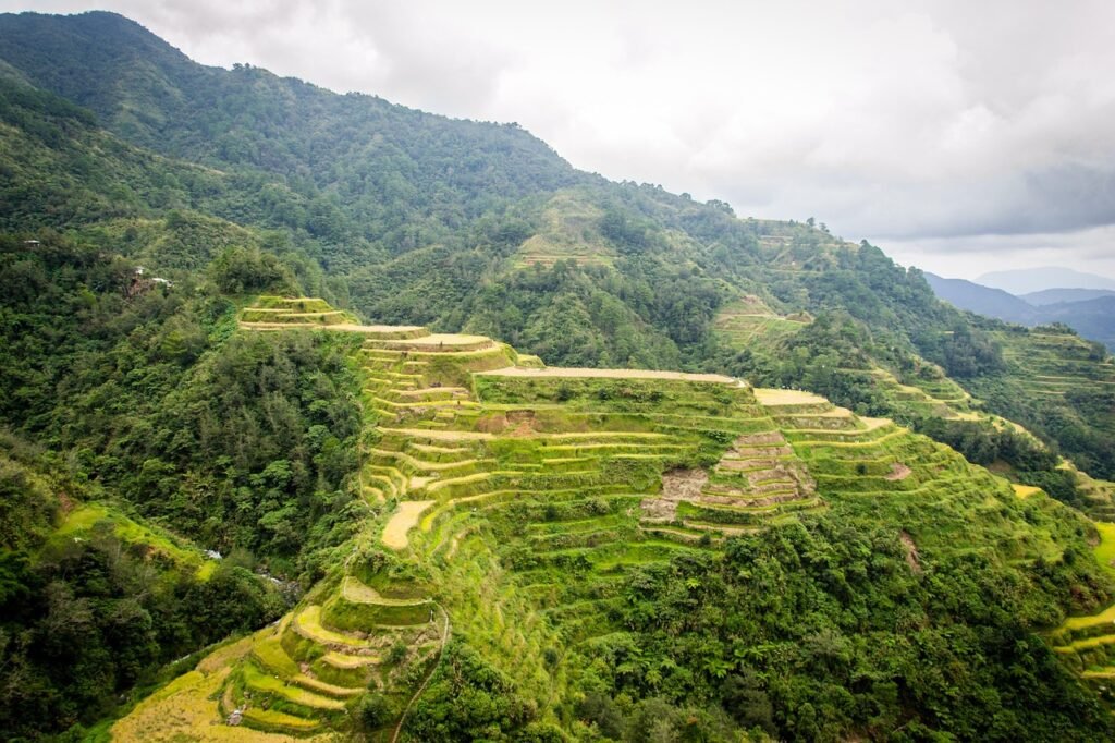 philippines, rice terraces, banaue, banaue, banaue, banaue, banaue, banaue