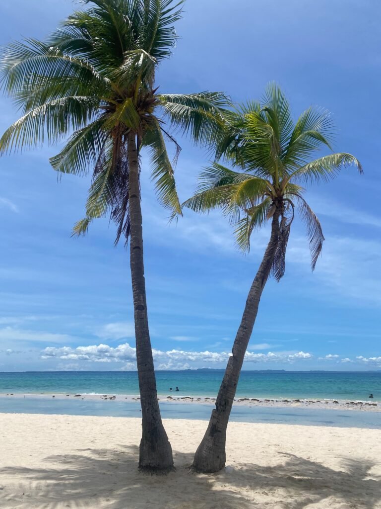 Tropical palm trees on a sandy beach with a serene ocean backdrop in Visayas, Philippines.